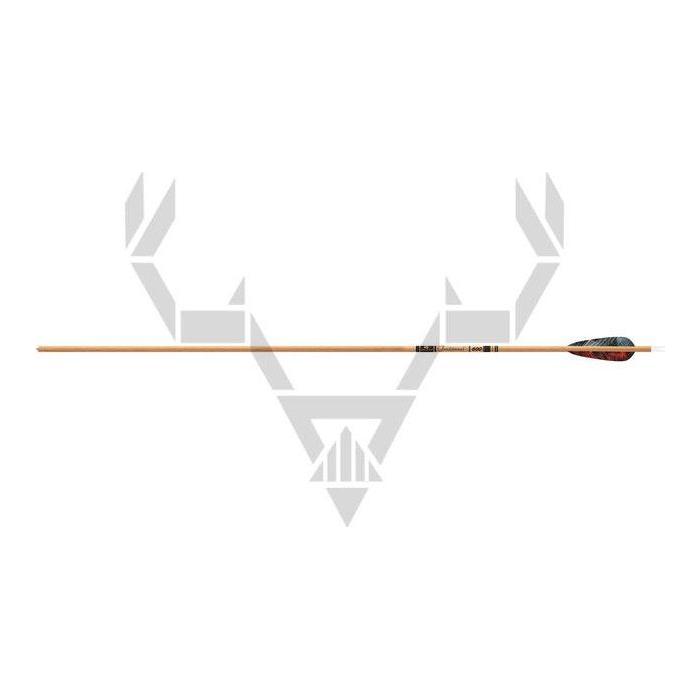 Gold Tip Traditional Hunter hiilikuitunuoli luonnonsulilla
