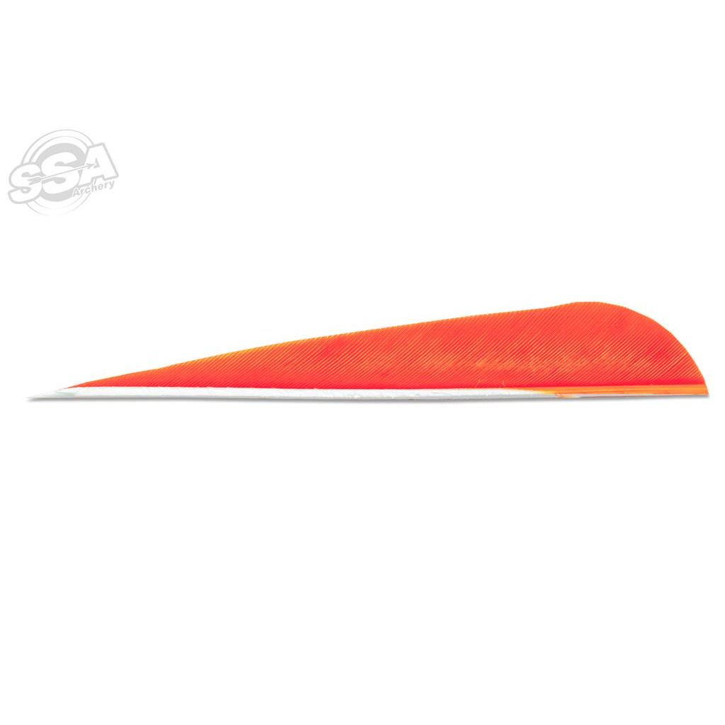 Skylon 4" parabolic RW luonnonsulka 24kpl